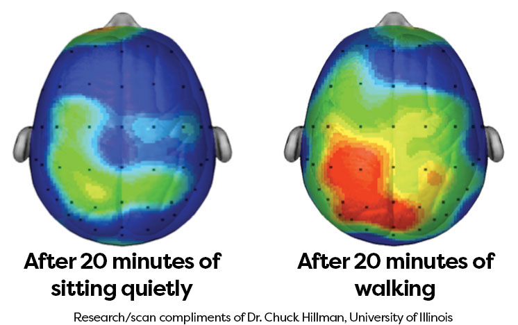 brains after walking